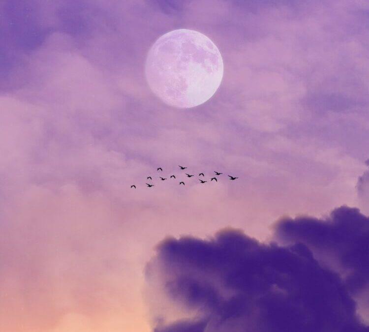 Full Moon November 2023