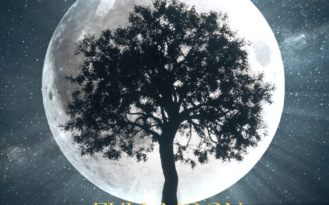  Full Moon May 2025 – Align to your Dharma