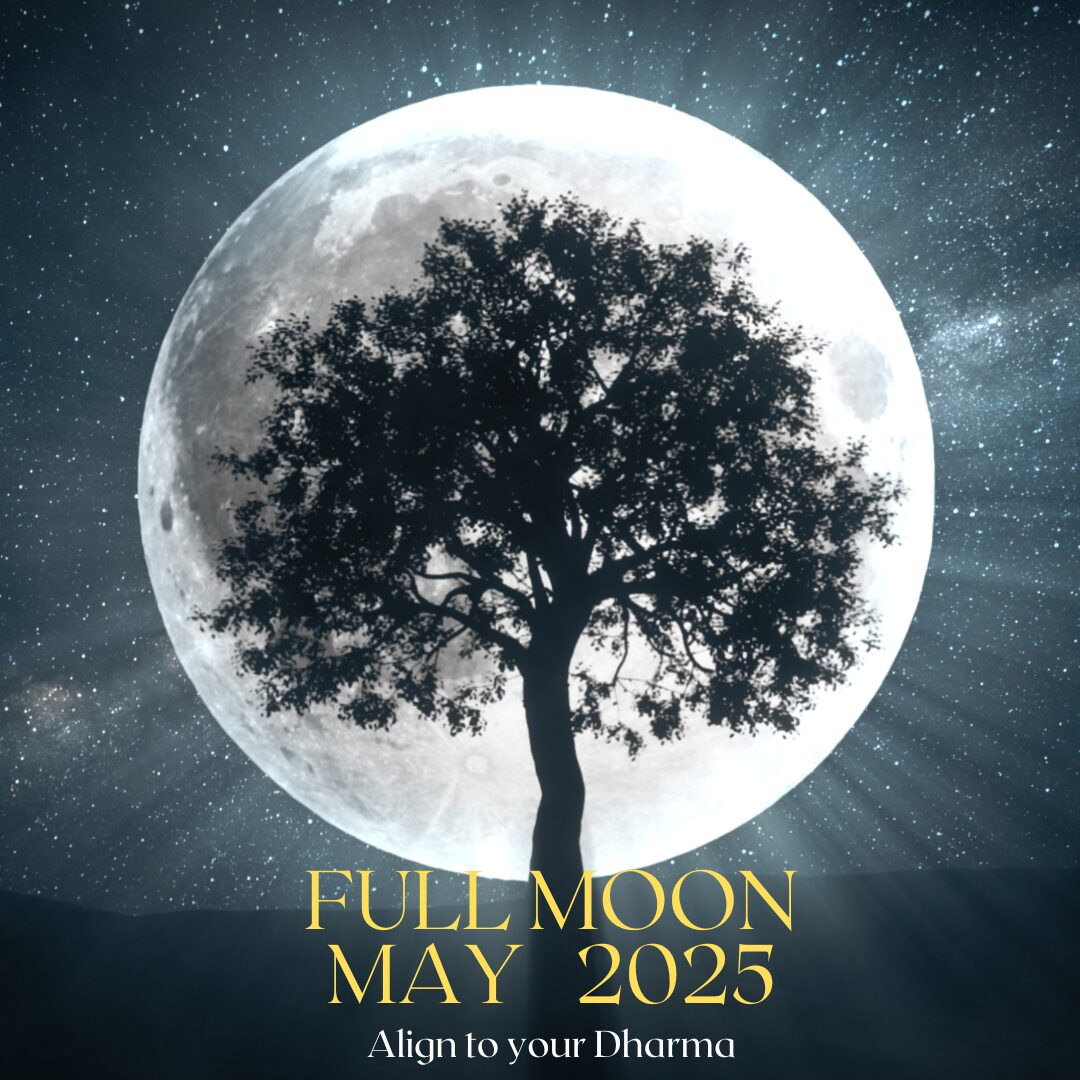 Full Moon May 2025 April 2025 Full Moon