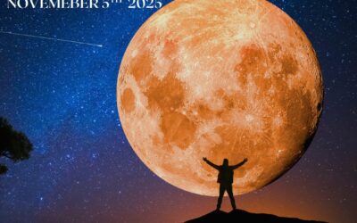 Full Moon in Bharani The Star of Surrender and Rebirth – November 5th 2025