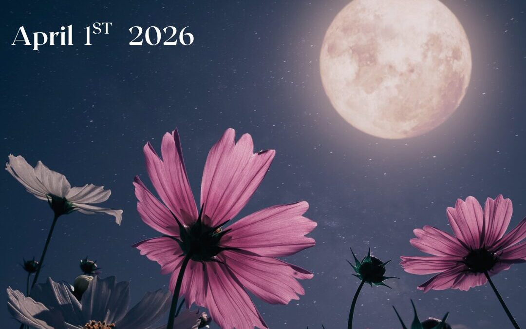 Full Moon April 1st 2026