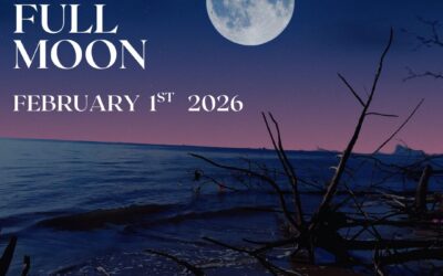February 2026 Full Moon – Attachment.Exposure.Release