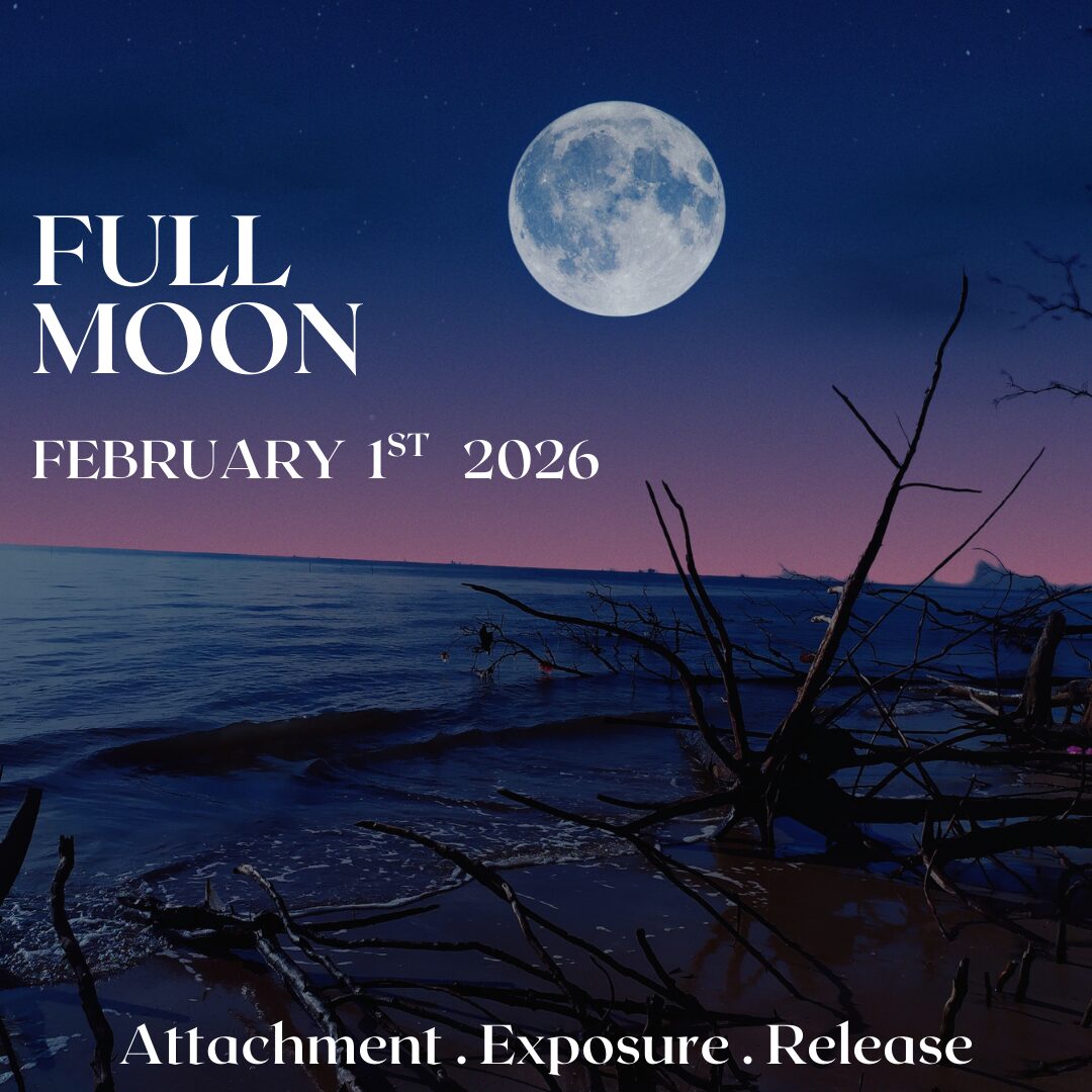 February 2026 Full Moon
