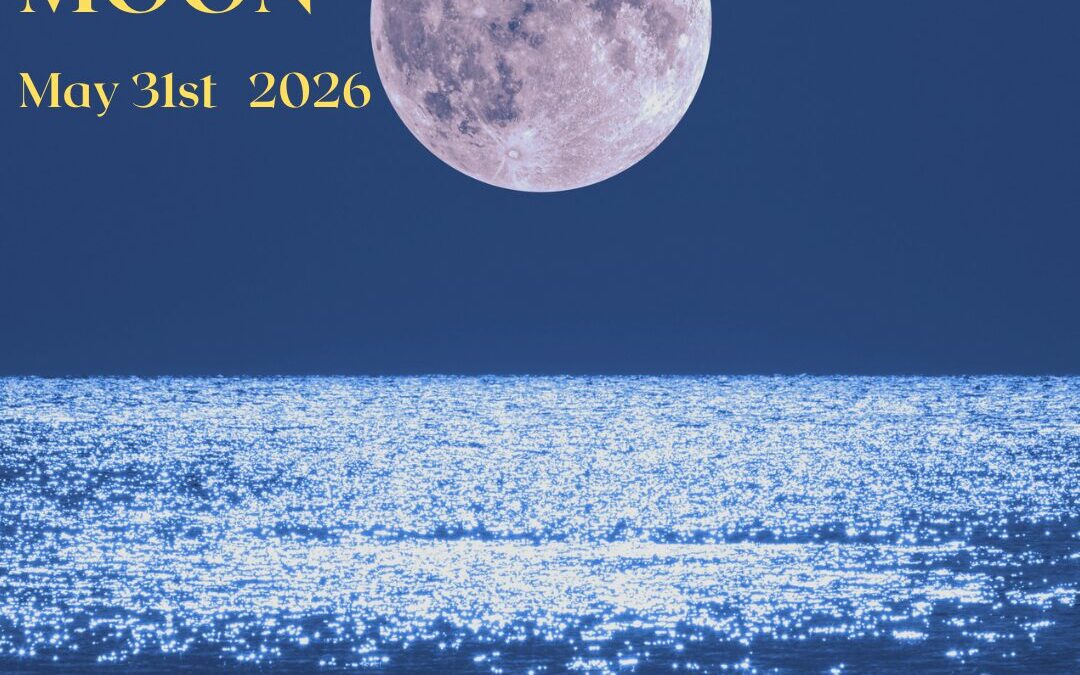 Full Moon May 31st 2026 — Anuradha. Devotion. The Seed You Have Been Watering.
